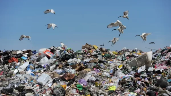 Why Landfill Alternative Waste Management Solutions Are Growing in Popularity